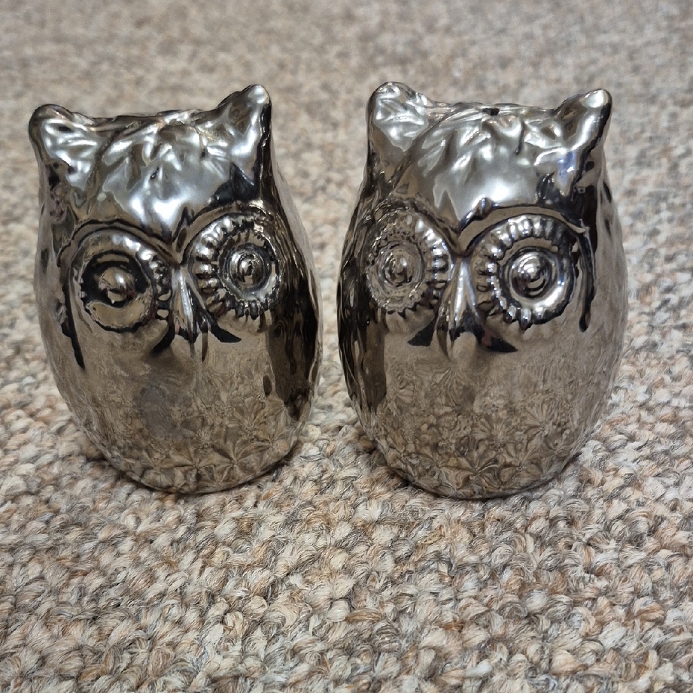 West Elm Silver Ceremic Owl Figurines Salt And Pepper Shakers